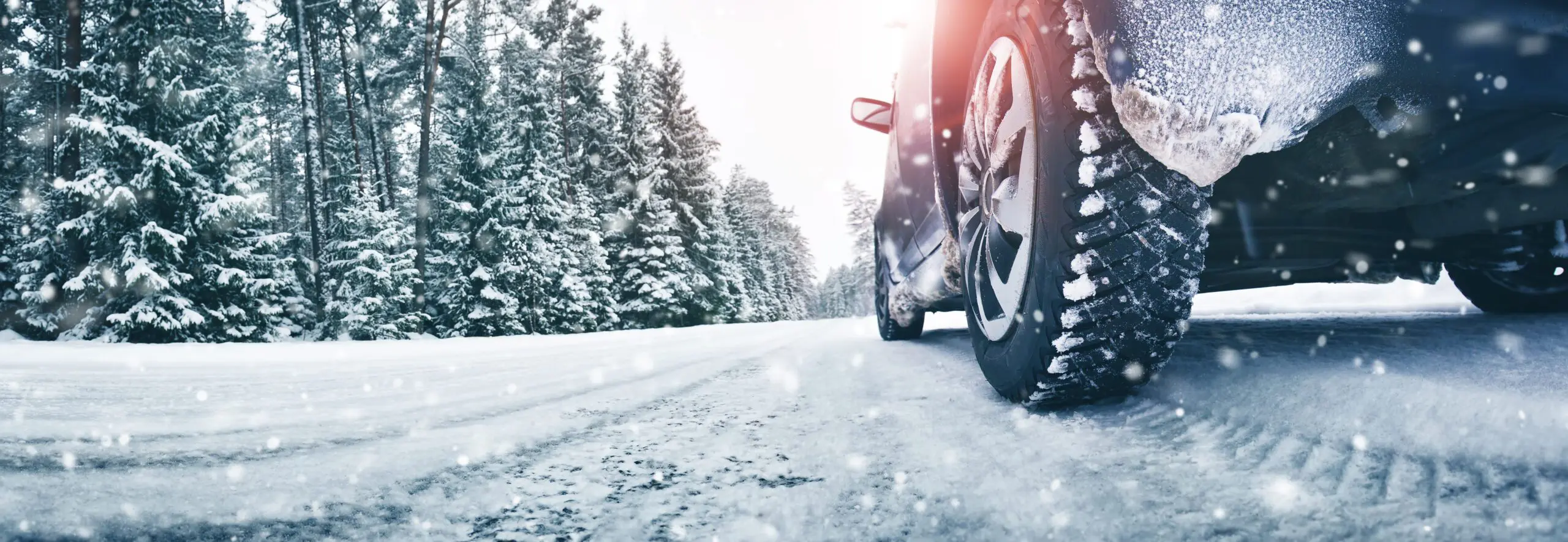 winter car