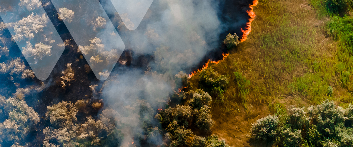 Wildfire on landscape birds eye view